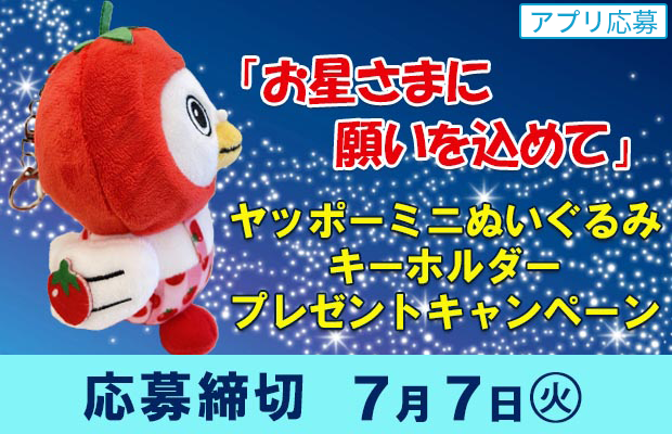 「お星さまに願いを込めて」ヤッポーミニぬいぐるみキーホルダープレゼントキャンペーン