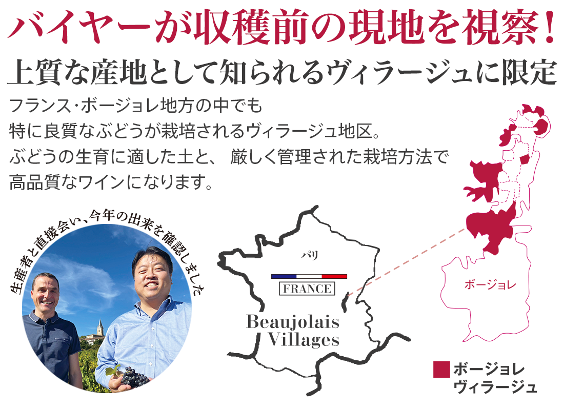バイヤーが収穫前の現地を視察