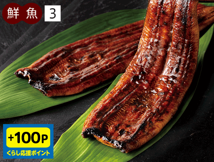 三重県産 地焼うなぎ 長焼