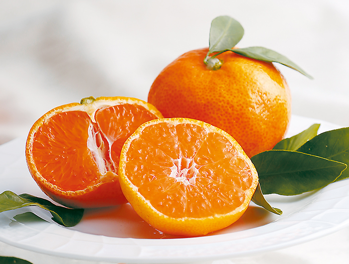 ヤオコー『冬の贈り物』 和歌山県産 土山さんの幸の匠 みかん 箱