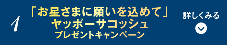 「短冊に願いを込めて」プレゼントキャンペーン