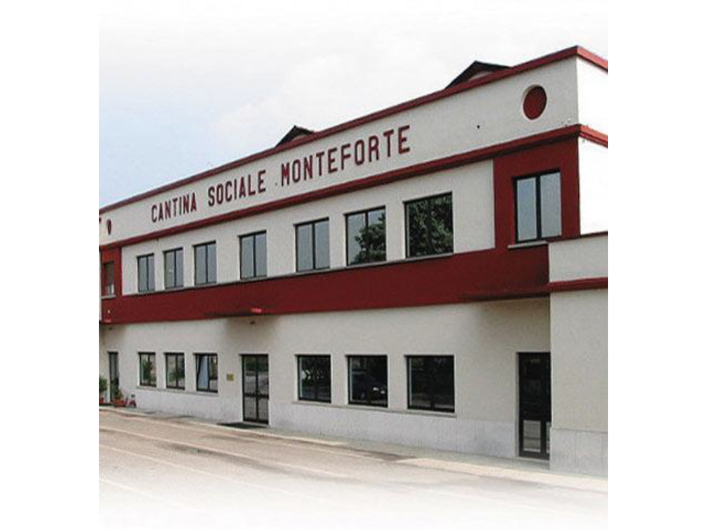 モンテフォルテ 直輸入ワイン ヤオコー Marketplace