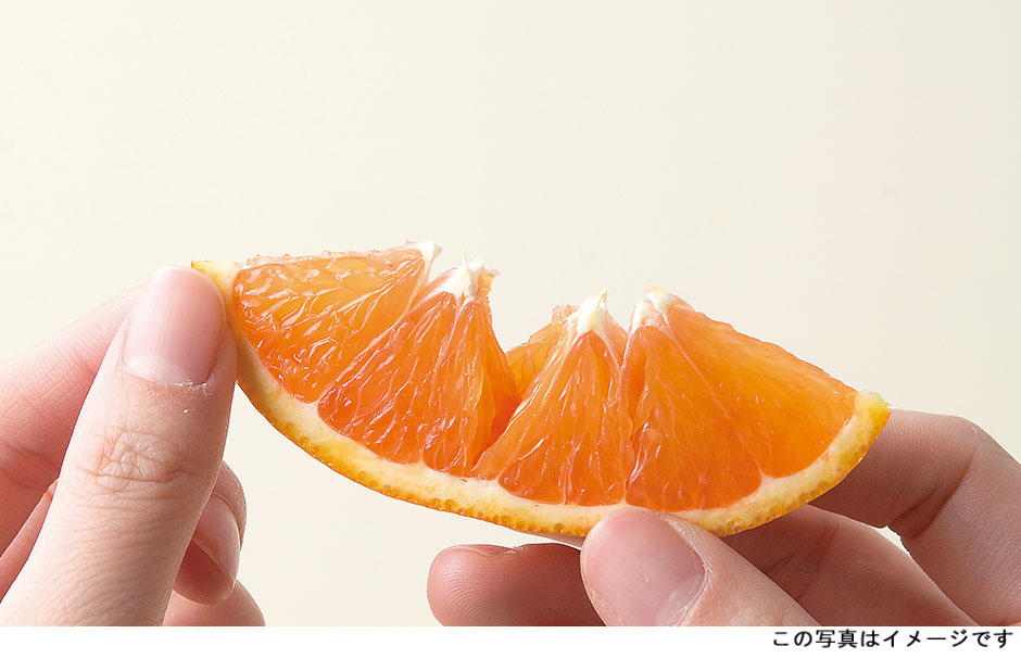 果物の達人・徳田がオレンジがきれいに見える切り方・むき方を教えます！