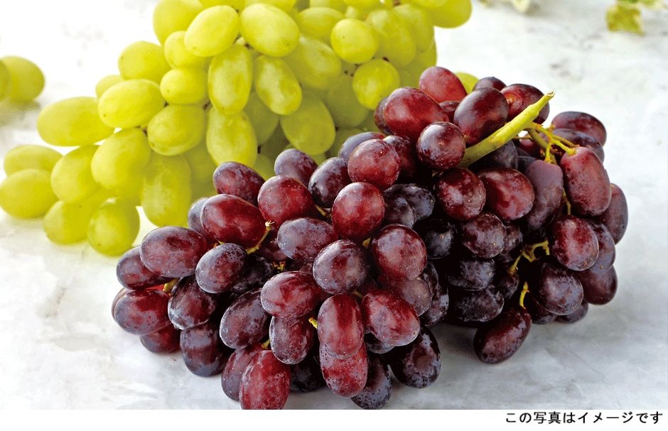 果物の達人・徳田イチオシ「オーストラリア産ぶどう」暑い日にぴったりな食べ方も
