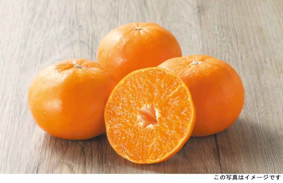 果物の達人 徳田がオレンジがきれいに見える切り方 むき方を教えます こだわりの生鮮 商品ストーリー ヤオコー Marketplace